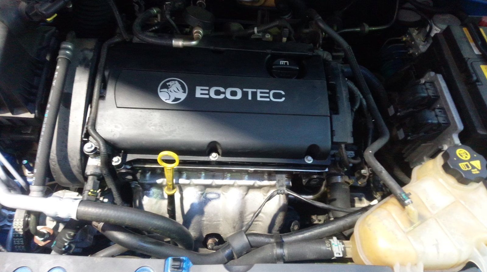 Holden Ecotec engine bay