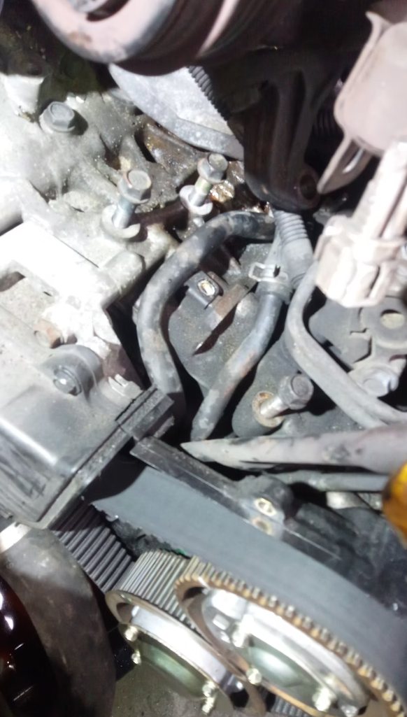 Close-up of timing belt area during repair